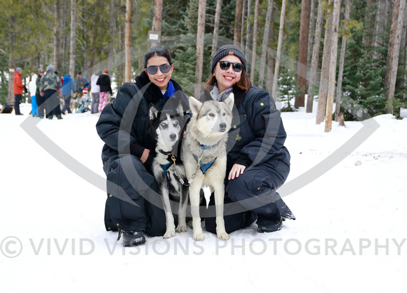 VVP_241223_0031a