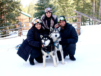 VVP_250207_0033